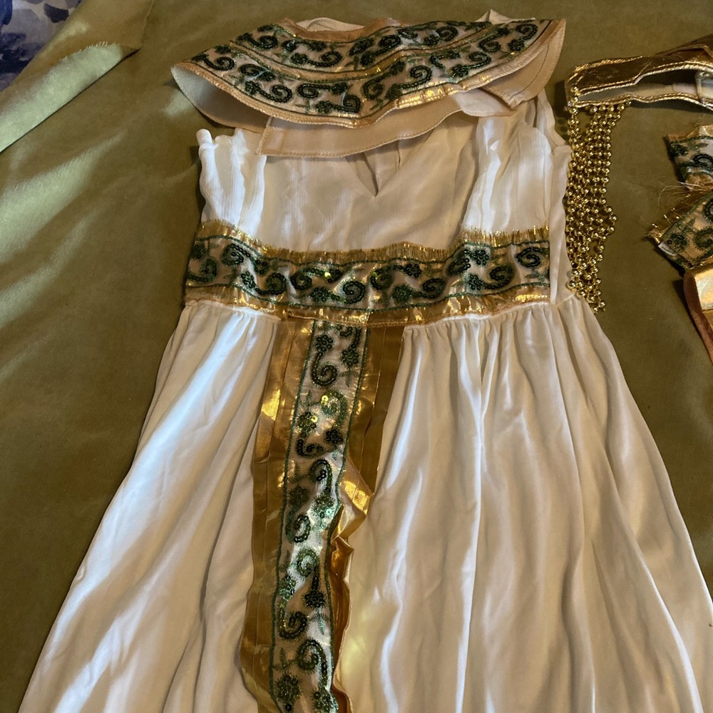 Egyptian Goddess Costume